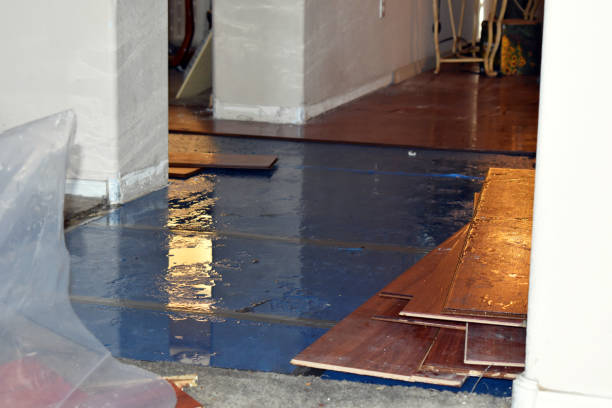 Professional Water Damage Restoration technician working in Saint Charles, SD