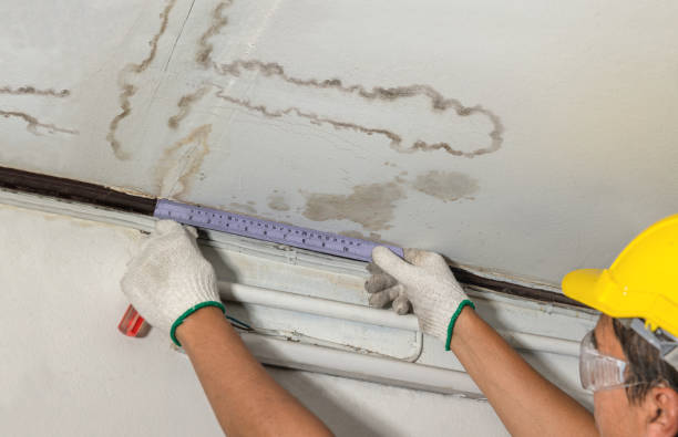 Reliable Water Damage Restoration contractor in Saint Charles, SD by Water Damage Irwin